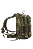 Превью товара Рюкзак Camofans CF-P-035 Scout мох 25л.